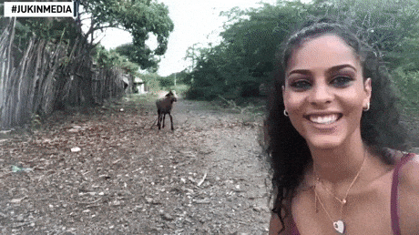 Funniest GIFS